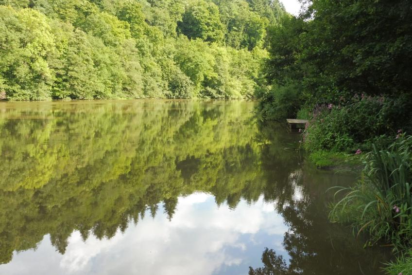 Chalet Wiedfluh in Waldbreitbach - foto 30