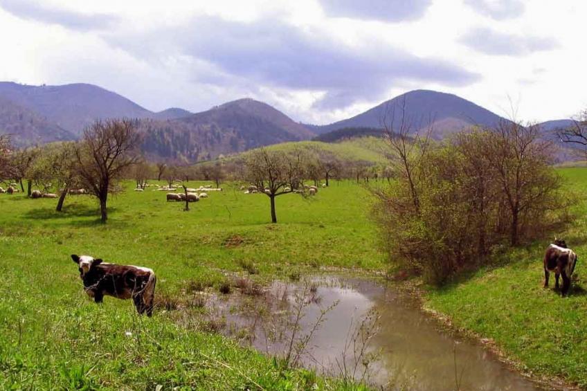Casa Zollo - foto 46