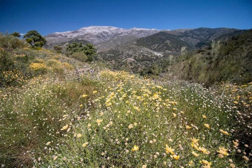 Cortijo las Monjas - foto 40
