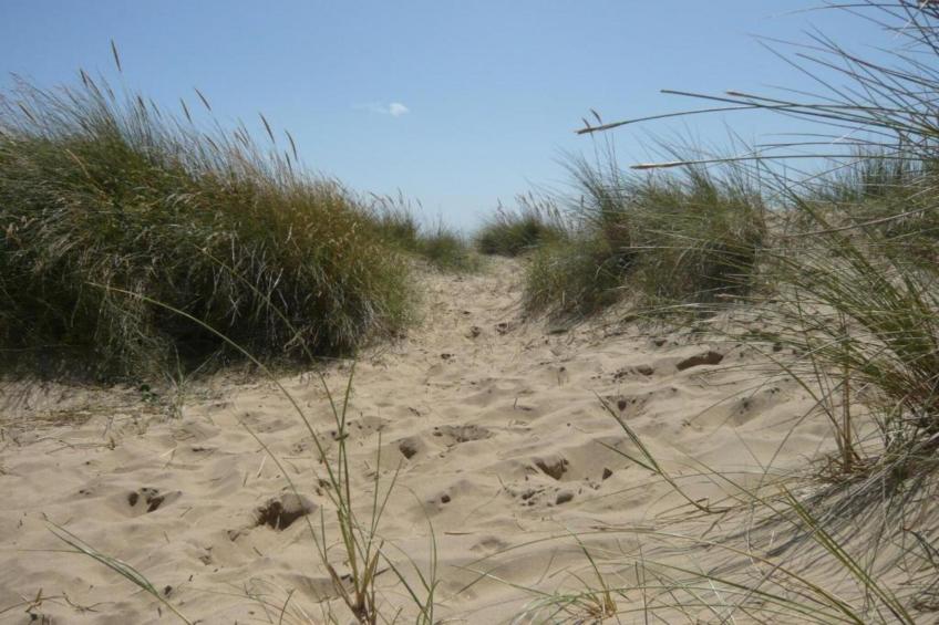 Rainbow Petty - foto 15