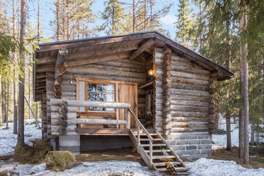 Retkietappi honkapirtti - foto 2