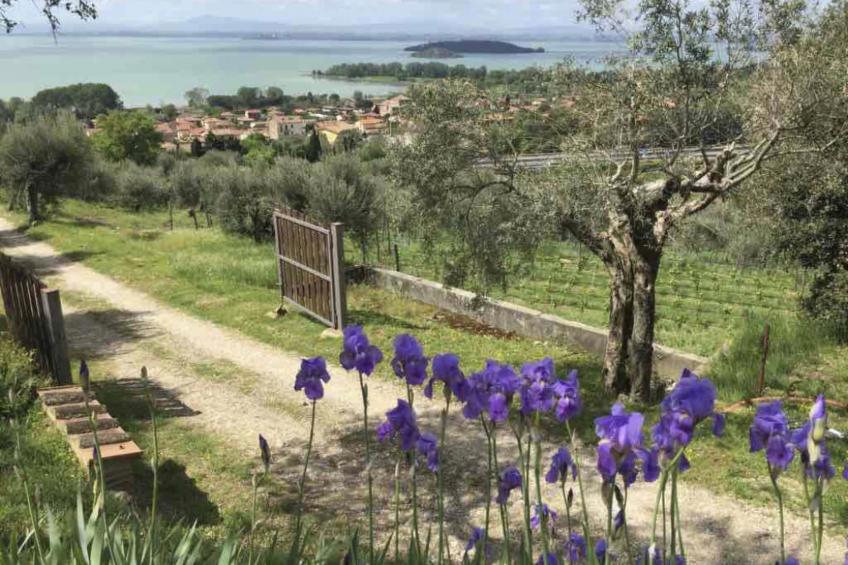 Renovierte Wohnung - foto 19