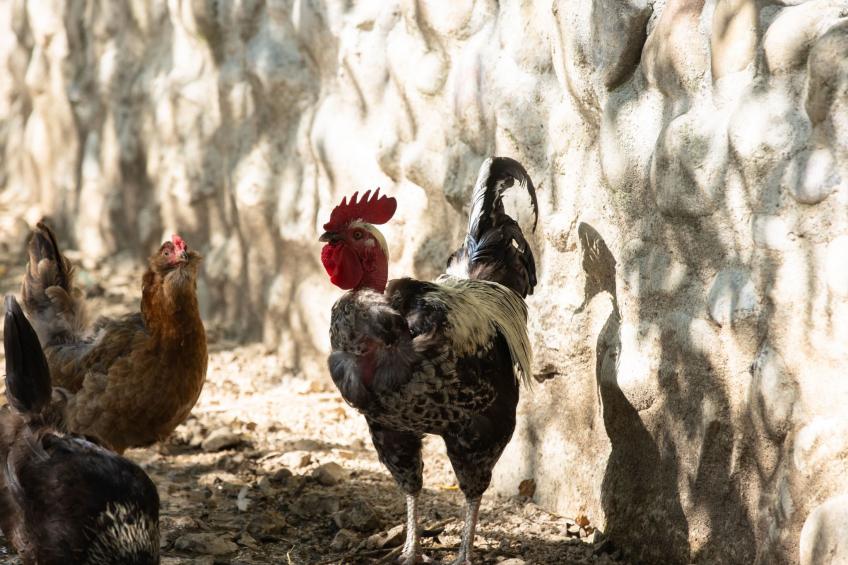 Appartement LouisXVI - foto 19