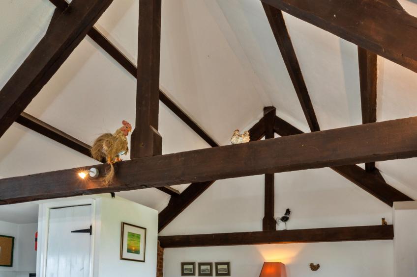 Squire, Quinceborough Farm - foto 18