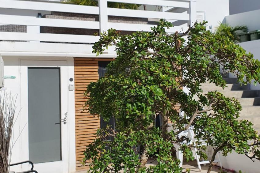 Studio S in jan Thiel Curacao am Tropical Pool. - foto 2