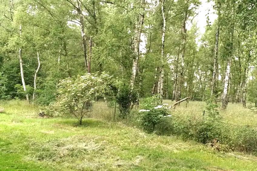 Fewo Goslar Harz - foto 23