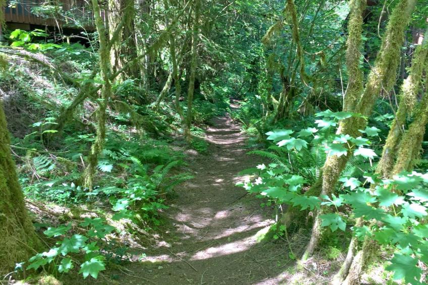 Blockhaus mit Kamin und Wi- - foto 24