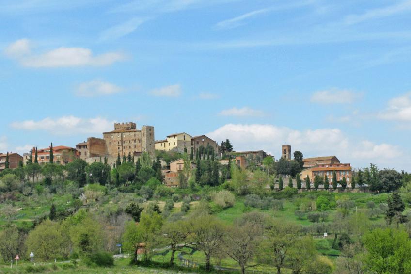 Il Bardeggiano (COL240) - foto 36