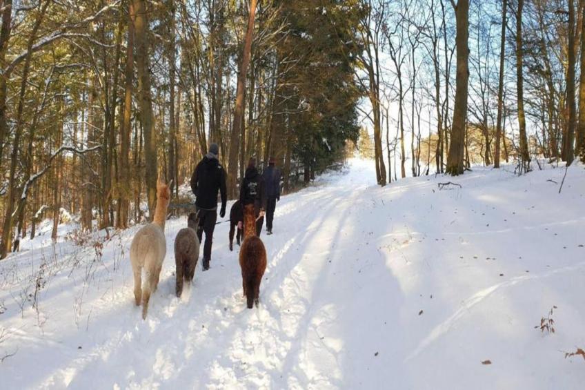 Hülsemann - foto 38