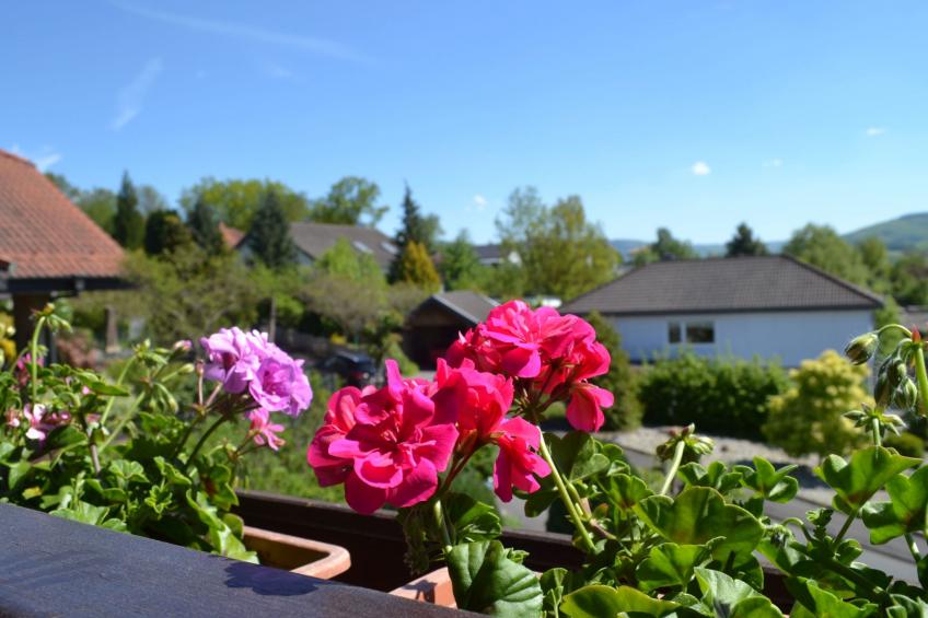 Tolle Wohnung in Hilders mit Eigenem Balkon - foto 5