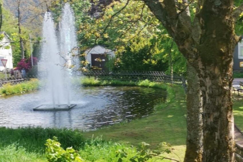 Thüringer Landhaus - foto 45