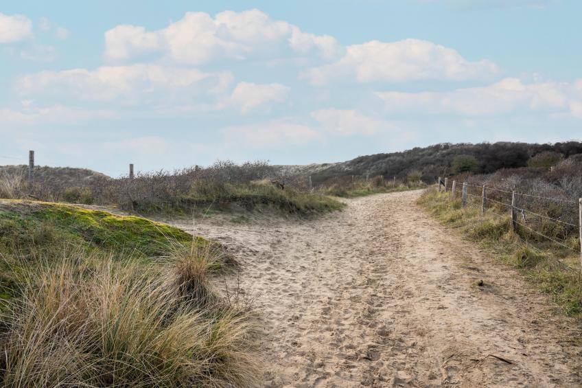 De Zilvermeeuw - foto 31