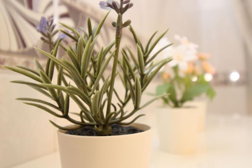 Janna e Mare - foto 13