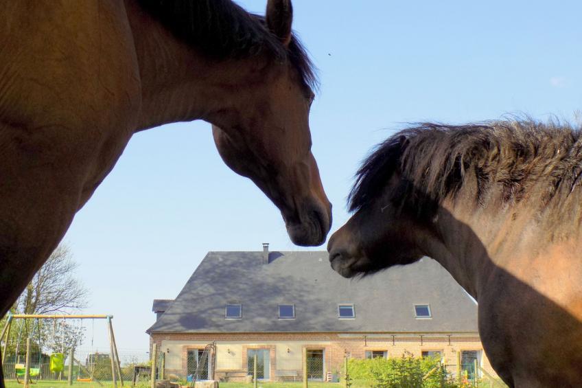 für 8 Personen - foto 25