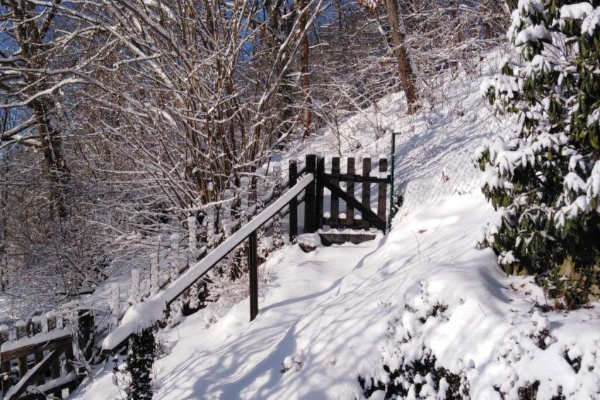 Jagd auf Ldoge - foto 3