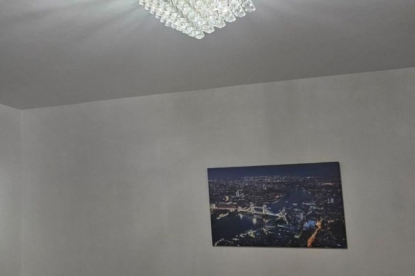 Wien Orpington - foto 71