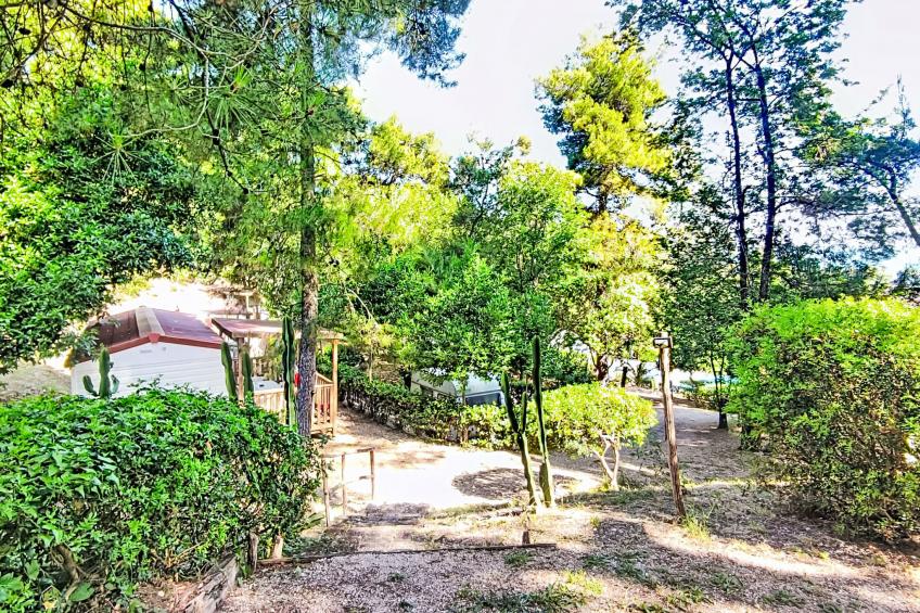 Internazionale Camping Village - foto 27