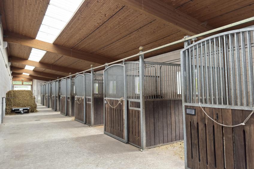 Lüneburger Heide - foto 25