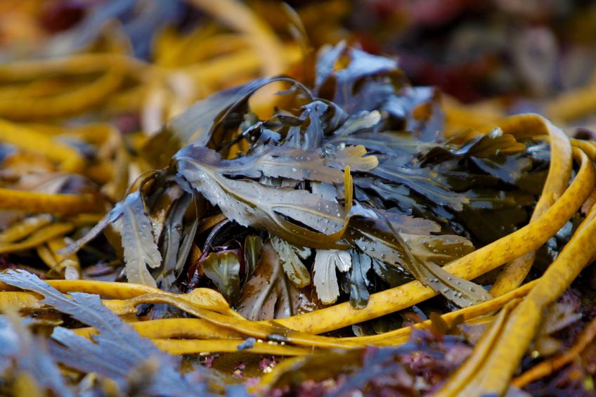 Kilkee HH - GF (TR1) Type C - No 903 - foto 20