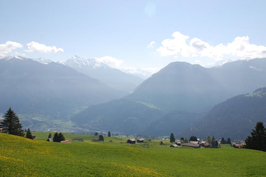 Maiensäss Casaritsch, (Urmein), - foto 10