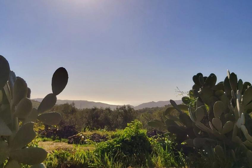 Arcobaleno - foto 24