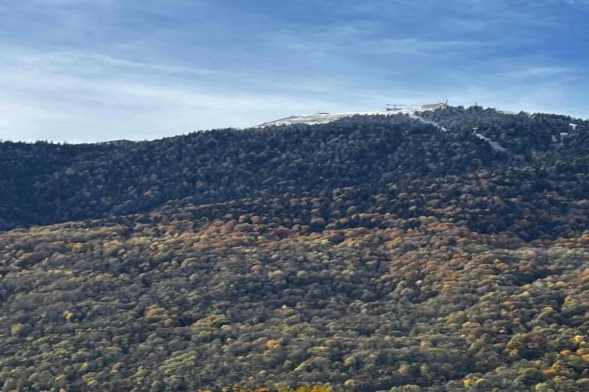 Résidence Le Belvédère - foto 29