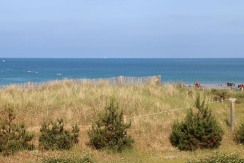 l'Escale dunes, Strände 20 Meter entfernt, Meerblick - foto 20