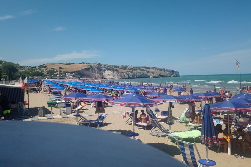 Drei-Zimmer-Wohnung im Erdgeschoss - foto 37