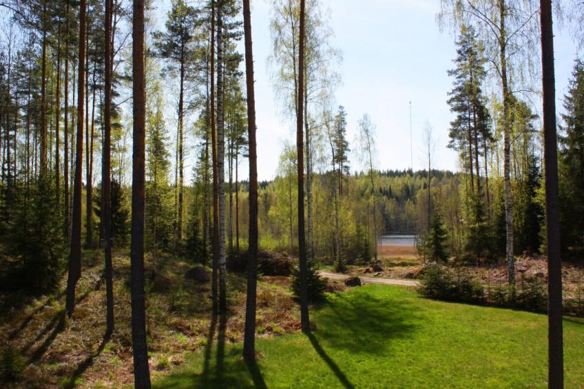 "Ruhmaslehto" mit Blick auf das Wasser - foto 37