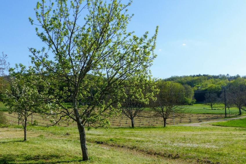 Doppelhaushälfte in einem alten Bauernhof im Périgourdine - foto 8