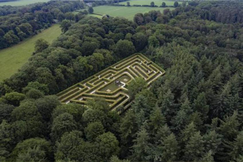 Wildzicht 253 - foto 28