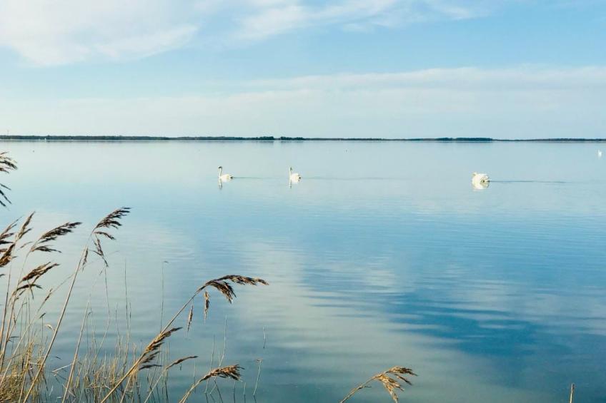 Wiesenblick 5 - foto 27