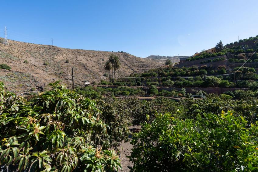 Urlaub & Gesundheit in FINCA OASIS - VILLA 8 - foto 21