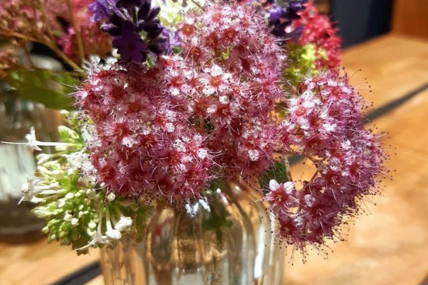 in Quedlinburg - foto 49