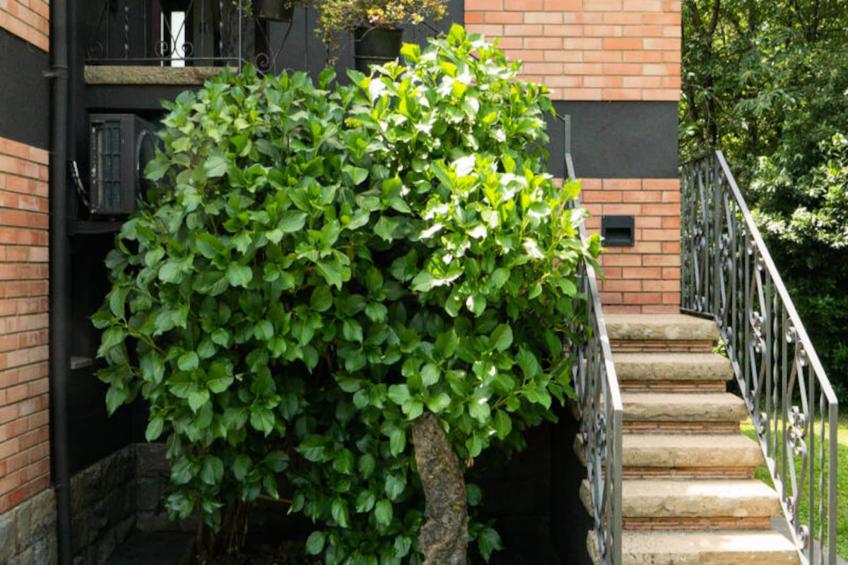 Mobil Home - Bungalow - Cottage à Santa Pau - foto 39