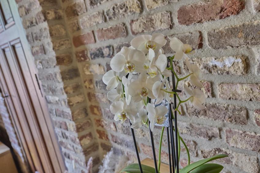 De Rouwenbogt - foto 45