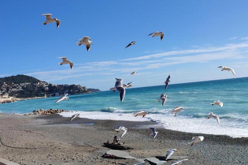 Palais Rossini - foto 27