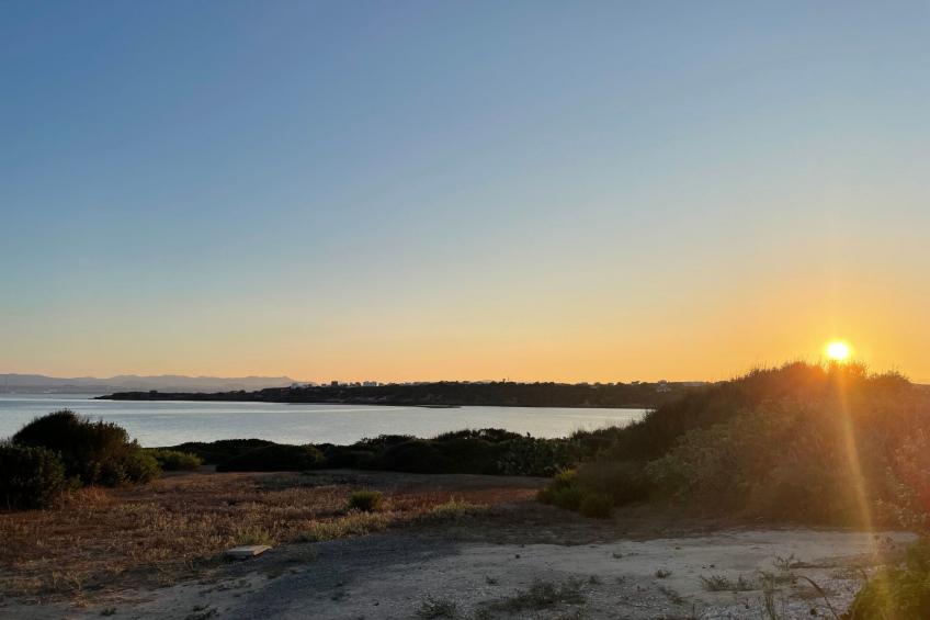 Wohnung in Calasetta mit Grill und Garten - foto 24