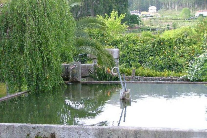 Finca "Quinta do Bento Novo" - foto 25