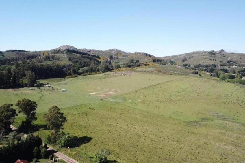 La Villa de Gema - foto 40