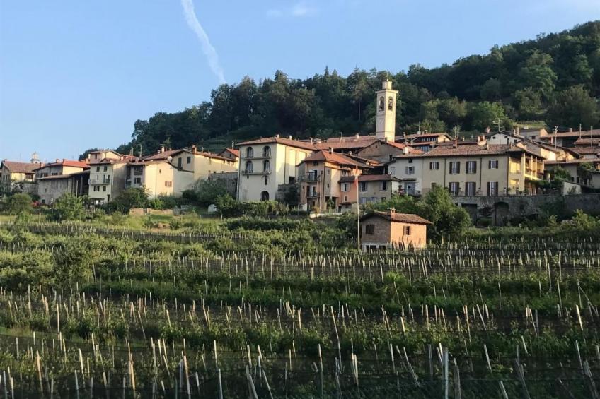 Exklusives Apartment, am Luganersee, mit Außenpool - foto 16