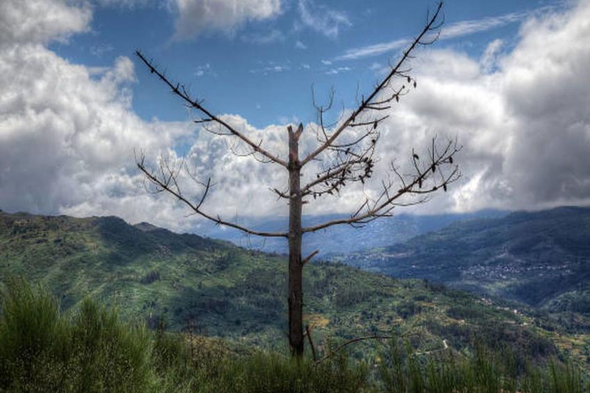 Soajo - Die schönste Gegend von Gerês 2 - foto 15