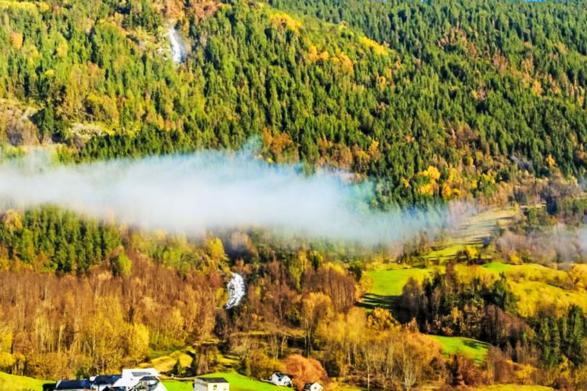 Samlen Vasselgård - foto 31