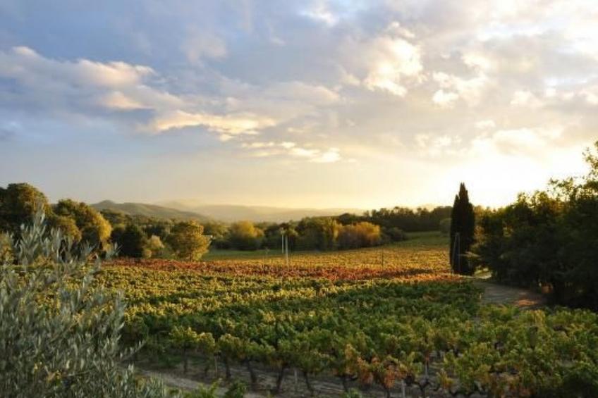 "Haus der Olivenbäume" - foto 2