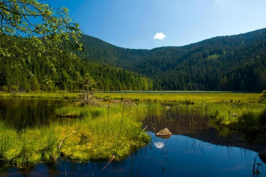 Bayerischer Wald - foto 22