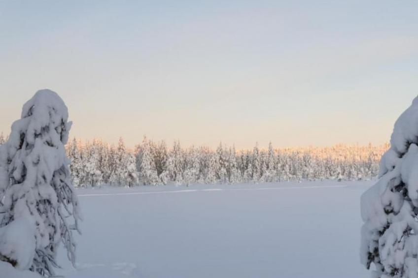 Gemütliches Ferienhaus in der Wildnis Lapplands - foto 4