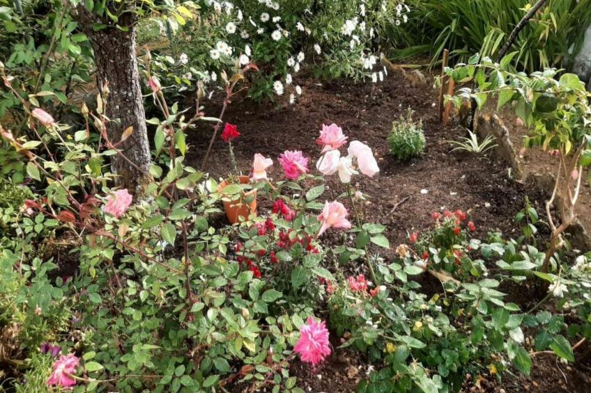 Historisches Haus in der Nähe des historischen Dorfes von Óbidos - foto 45