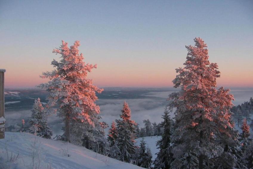 Letafors Herrgård - foto 36