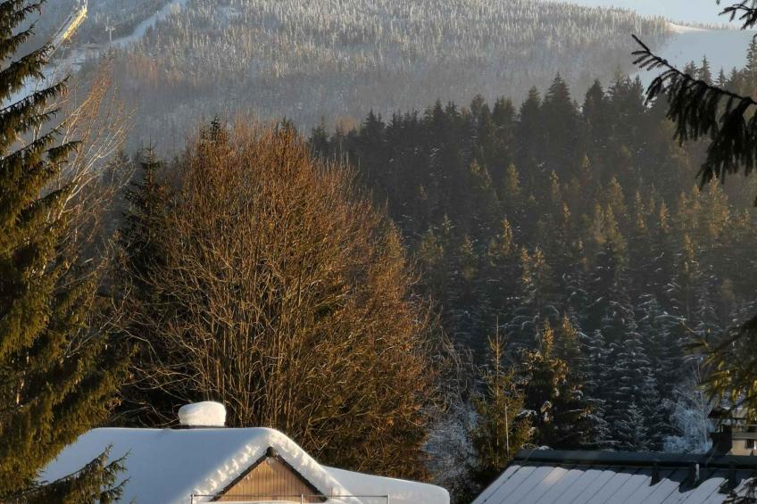 Vakantiehuis bij het bos met veranda - VW-XCJT - foto 17