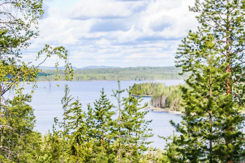 Ettone, mustosen lomamökit - foto 13